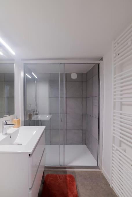 Cosy Hyper Centre Epinal
